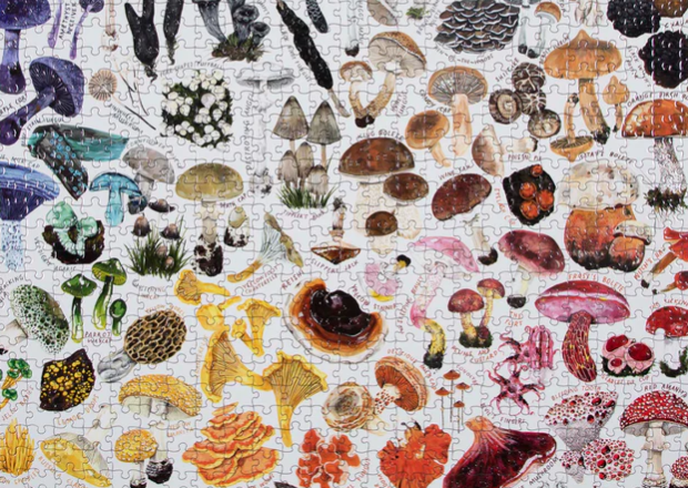 F Mushroom Puzzle